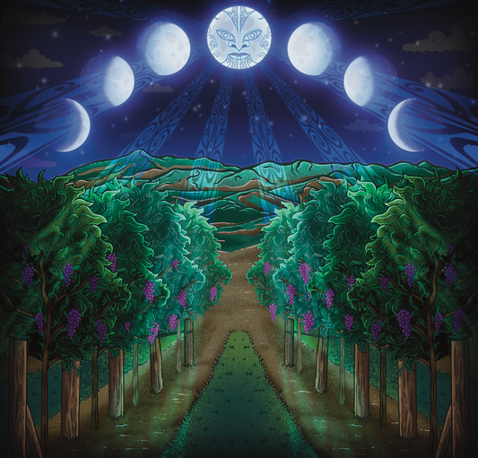 'Wine and Te Ao Māori' Article written by Kathleen Willcox featured in Full Pour Magazine (Summer 2025)